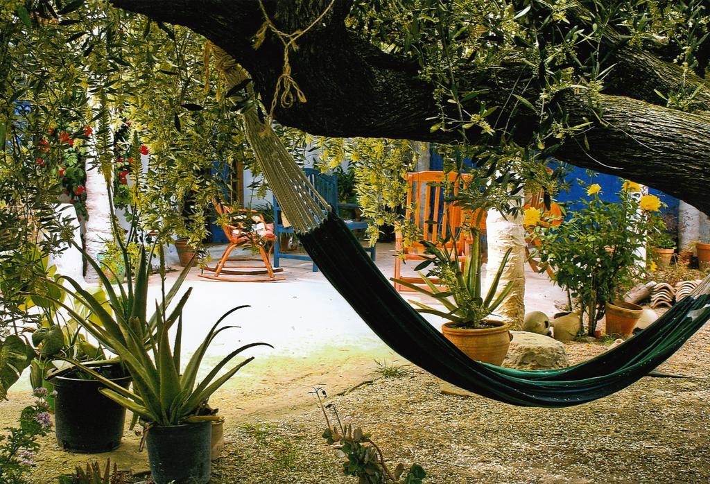 Casa Rural Aloe Vera Huercal-Overa Exterior photo