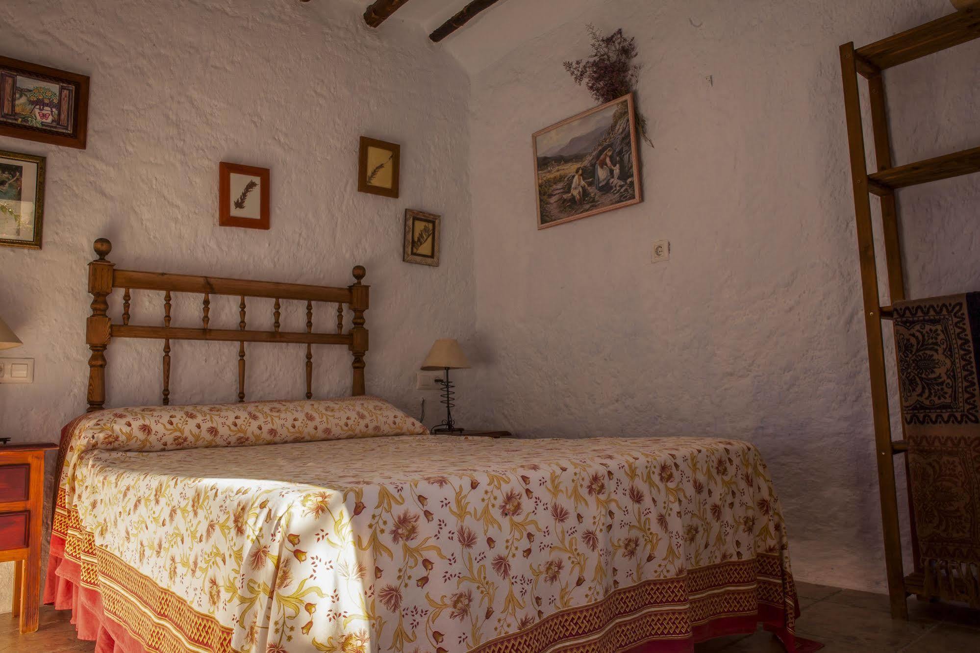 Casa Rural Aloe Vera Huercal-Overa Exterior photo